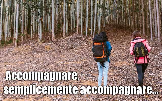 Accompagnare