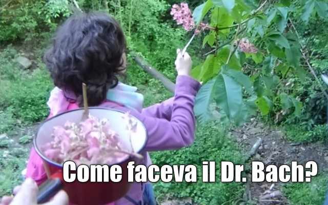 Come facceva