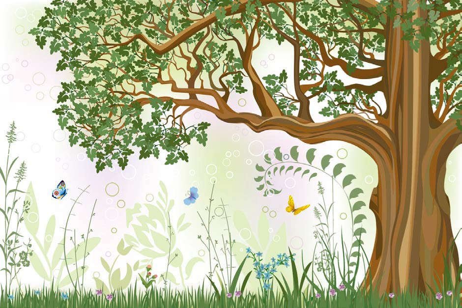 La generosità di Oak
Dr Ricardo Orozco
